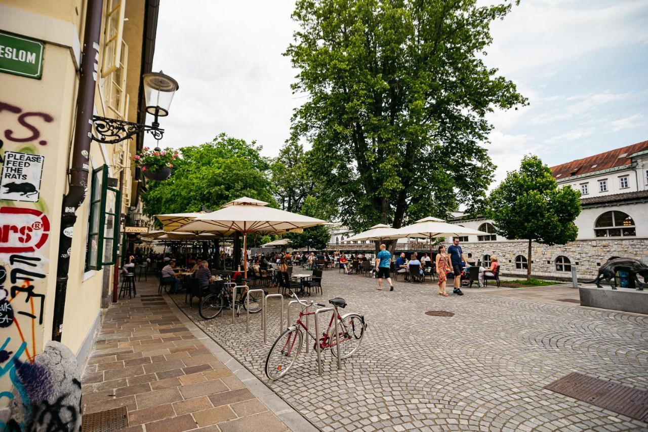 150 Steps To The Main Square Apartment Ljubljana Exterior photo